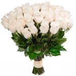 Розы Голландия